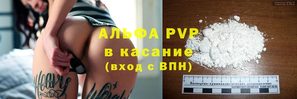 ПСИЛОЦИБИНОВЫЕ ГРИБЫ Осташков