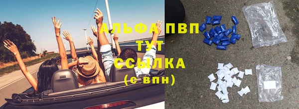 ПСИЛОЦИБИНОВЫЕ ГРИБЫ Осташков