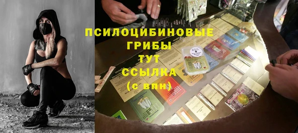 ПСИЛОЦИБИНОВЫЕ ГРИБЫ Осташков
