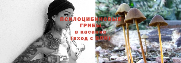 ПСИЛОЦИБИНОВЫЕ ГРИБЫ Осташков
